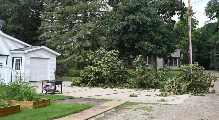 Tree damaged by Michigan storm illustrating weather-related HVAC and power hazards